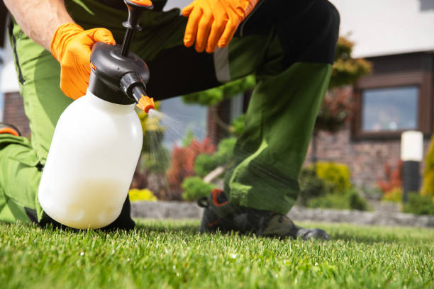 Best Rat Extermination Near Me  in Veneta, OR