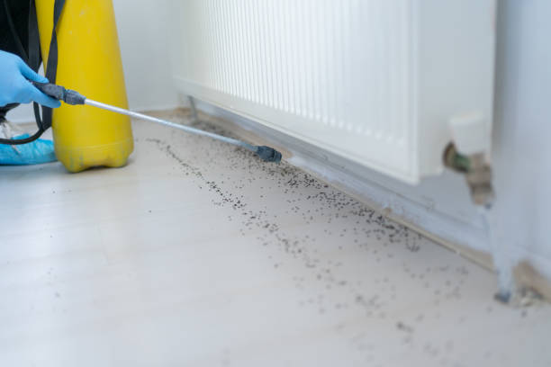 Best Bed Bug Extermination  in Veneta, OR