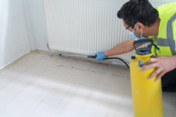 Best Best Pest Control Companies  in Veneta, OR